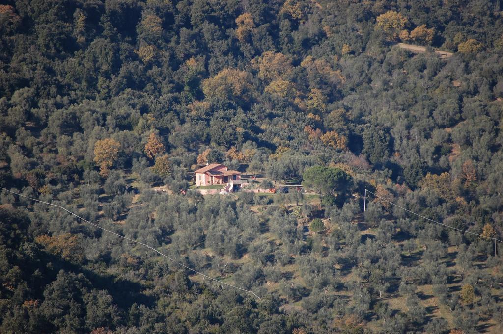 Bed and Breakfast Il Pino à Vetulonia Extérieur photo