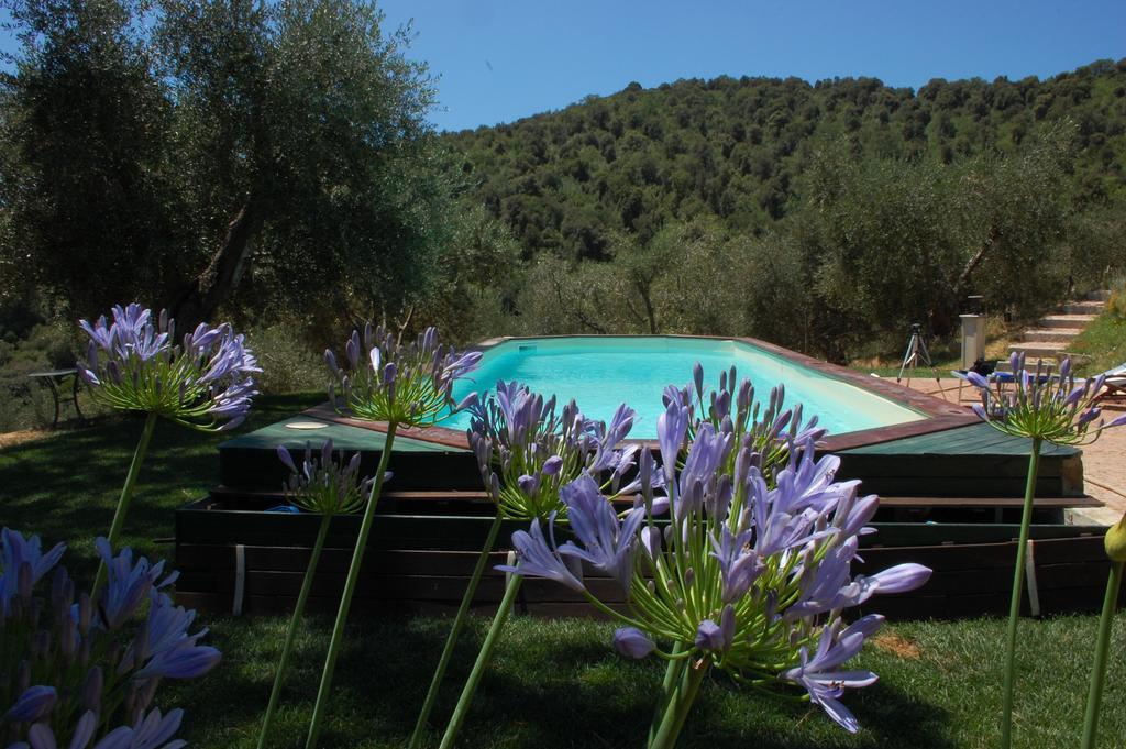 Bed and Breakfast Il Pino à Vetulonia Extérieur photo